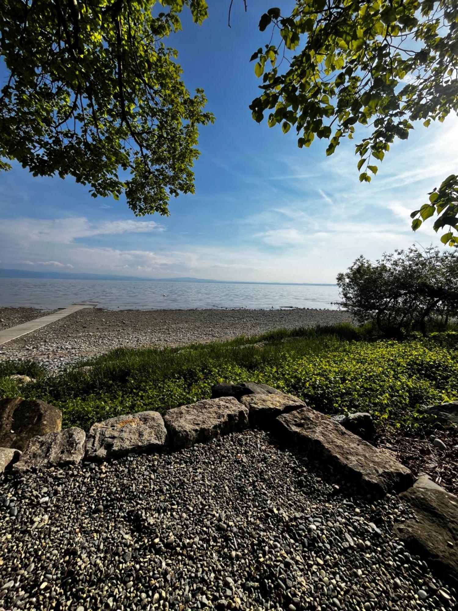 Kling Am See ฟรีดริชส์ฮาเฟน ภายนอก รูปภาพ